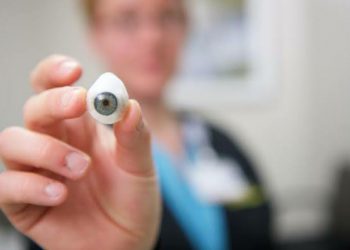 القشرة التعويضية Shell prosthetic