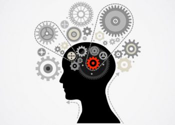 الإدراك الحسي البصري