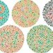 اختبار ايشيهارا ISHIHARA TEST 6 اختبار ايشيهارا ISHIHARA TEST