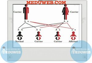 Untitled211 800x551 11 300x207 1