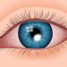Corneal signs aids to diagnosis capsule