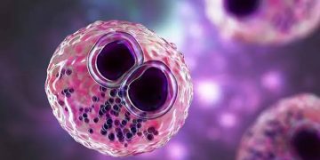 Cytomegalovirus (CMV)