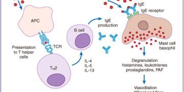 Short message types of hypersensitivity reactions