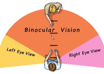 Binocular single vision what u have to know