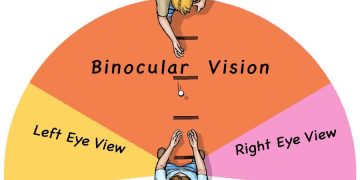 Binocular single vision what u have to know