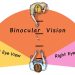 Binocular single vision what u have to know