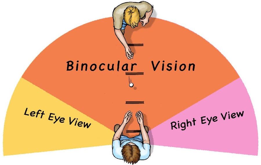 Binocular single vision what u have to know