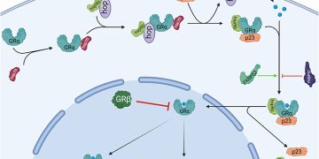 Pearls in Steroid Induced ocular HTN