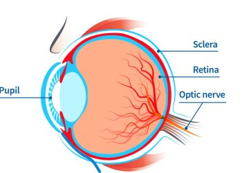 Retinopathy of Prematurity (ROP) screening guidelines