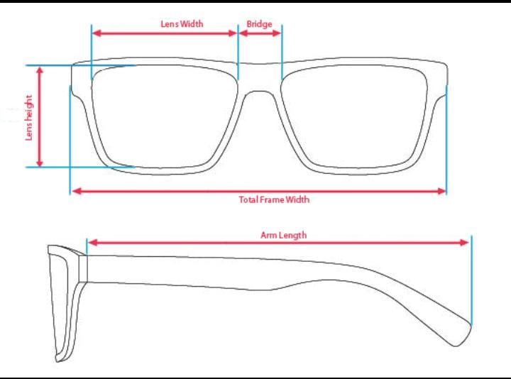 تشريح الاطار 